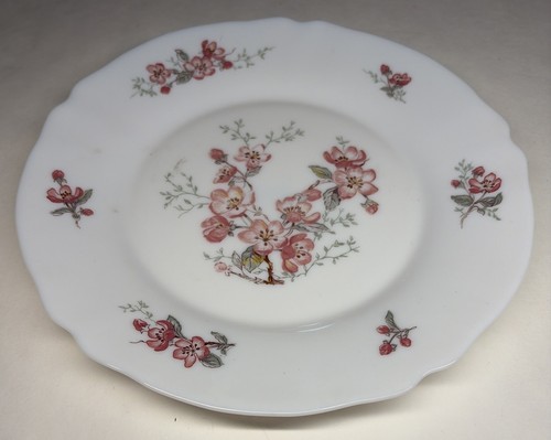 Lot29 grandes assiettes - de,