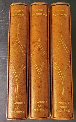 Livre collection pierre - -,