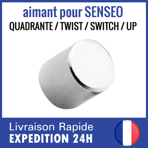 Aimant pour flotteur