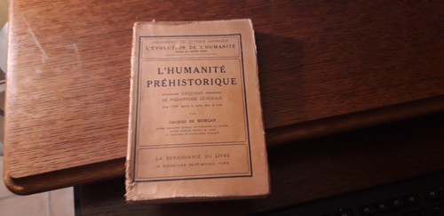 Humanité préhistorique - préhistorique,