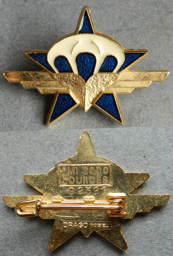 Rcp chasseurs - 1°,