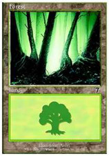 Magic MTG - Forêt - 7ème Edition - MINT/NMINT - FR - FOIL