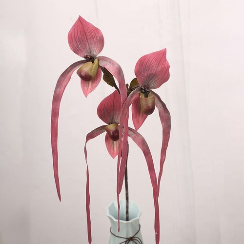 Fourches paphiopedilum fleur - 3,