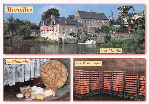 59-MAROILLES-SON