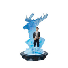 Figurine lumineuse Harry