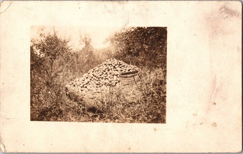 Carte postale ancienne - ancienne, rppc