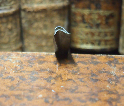 Fine gilding iron bronze - fine,