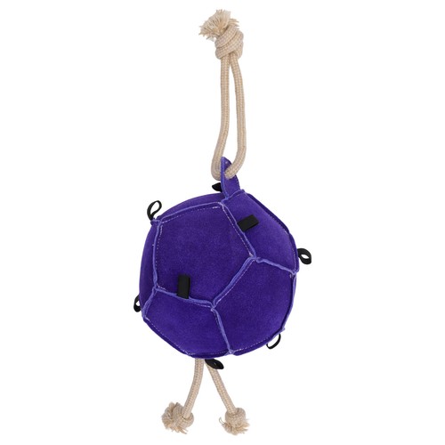 Horse guard jeu ball lila - lila,
