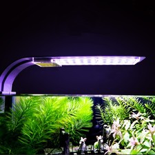  Lampe LED à pince pour Aquarium, éclairage aquatique pratique, lumière