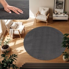 Tapis Poil Ras Tapis De Salon