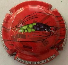 Capsule de champagne COTEAUX