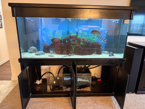 240 gallon aquarium - ,