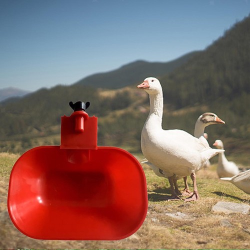 Pouces automatique poulet - 3/8,