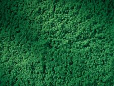 Auhagen 76670 Rouleau De Gazon