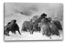 Toile/Cadres Août Friedrich