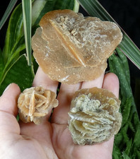 Lot 3 Rose des Sables Gypse