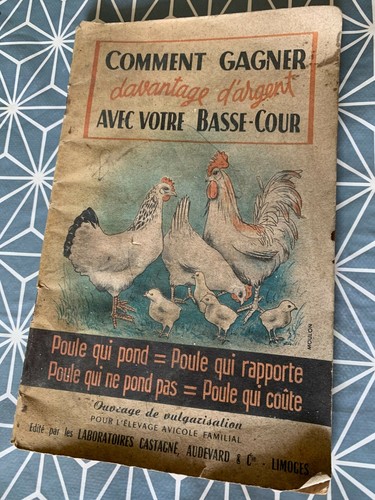 Vieux livre comment gagner - comment,