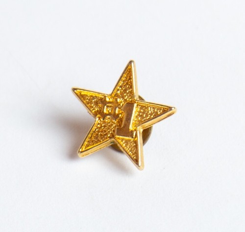 Gold tone star - #1, vintage
