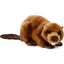 Castor environ 30 cm de