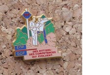 Pin's EDF GDF Arthus Bertrand