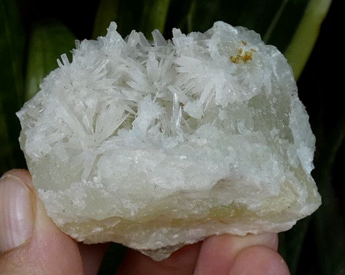 Rare aragonite aciculaire sur - aragonite,