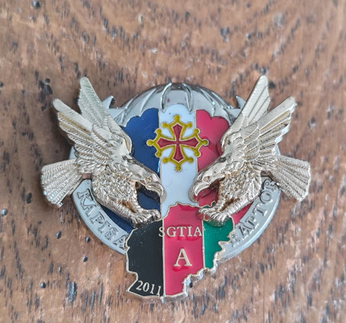 Insigne rcp sgtia - insigne,