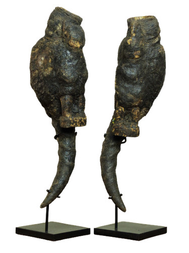 Fon bocio kpé - fon, kpé,