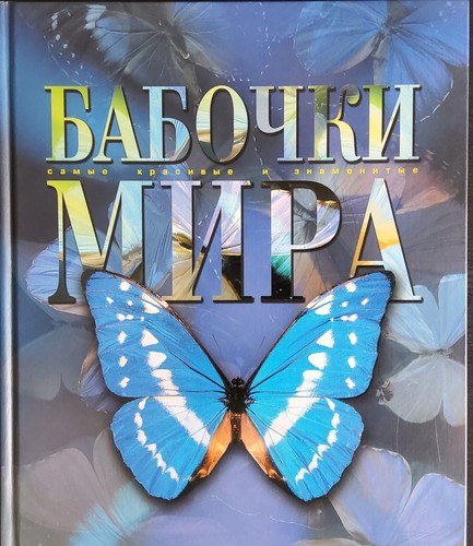 Livre russe les papillons - en,