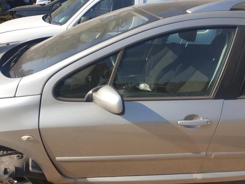 Porte avant gauche - peugeot, 307