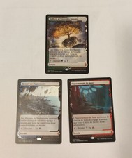 Lot 3 terrains Zendikar Rising Expeditions VF Halliers + Appartement + Rivage