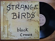 BLACK CROWS Strange Birds / Only Birds - Maxi 45t Alkin Records 1598556 / F 1988