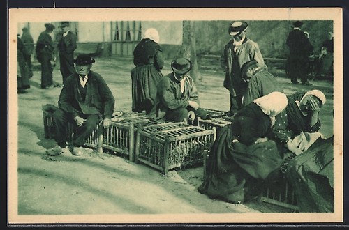 Cpa vendée cageots - cpa,