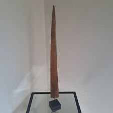 Taxidermie, véritable rostre