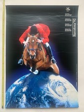 Barcelona Olympics Horse