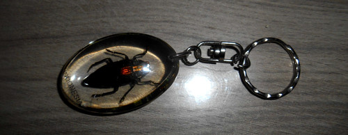Porte clef insecte resine - clef,