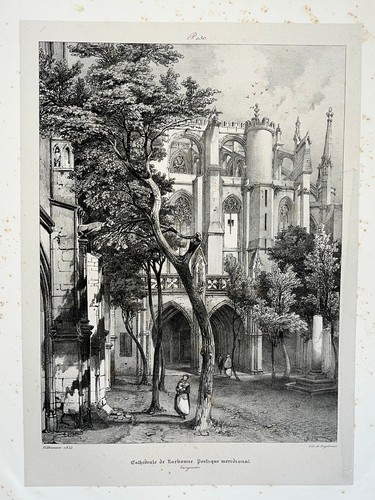Cathedrale narbonne languedoc - cathedrale,