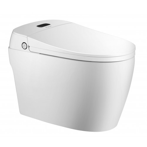 Monobloc japonais - wc,