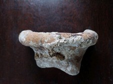 ARCHEOLOGIE COL D AMPHORE ROMAINE GRECQUE ANCIENNE COLLECTION TERRE CUITE