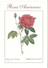 AB1 Collection historique du