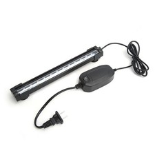 Lumière LED Colorée à