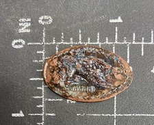 Penny Écrasée De Tortue De