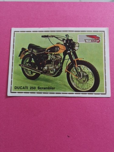 Ducati 250 scrambler panini - ducati,