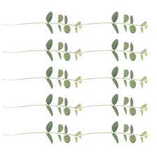  10pcs Eucalyptus Gâteau à