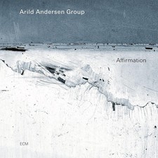 Arild Andersen Group