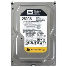 DISQUE DUR WESTERN DIGITAL  250GB  MODEL WD2502ABYS  ENTERPRISE STORAGE 