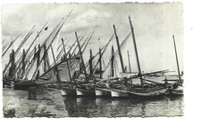 34  SETE  BARQUES DE PECHE AU