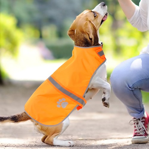 Gilet pour chien assistance - pour, d'assistance