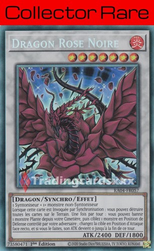Dragon rose noire - dragon,