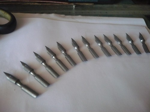 Sergent major lot plumes - sergent, de