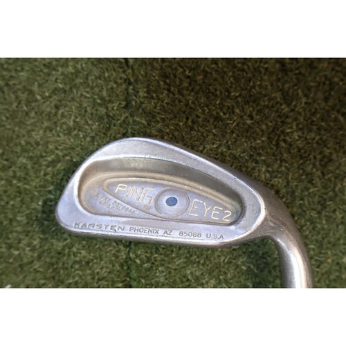 Ping eye blue dot - eye, fer